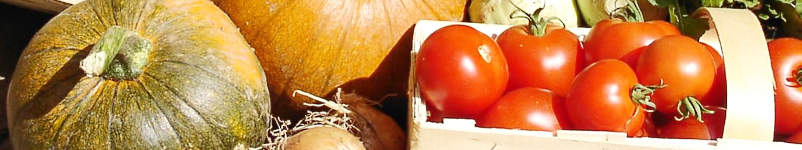 Kürbisse und Tomaten ©DLR